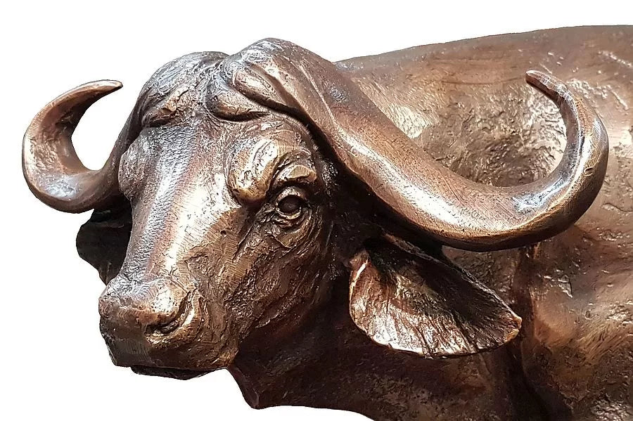 Cape Buffalo Bronze Sculpture