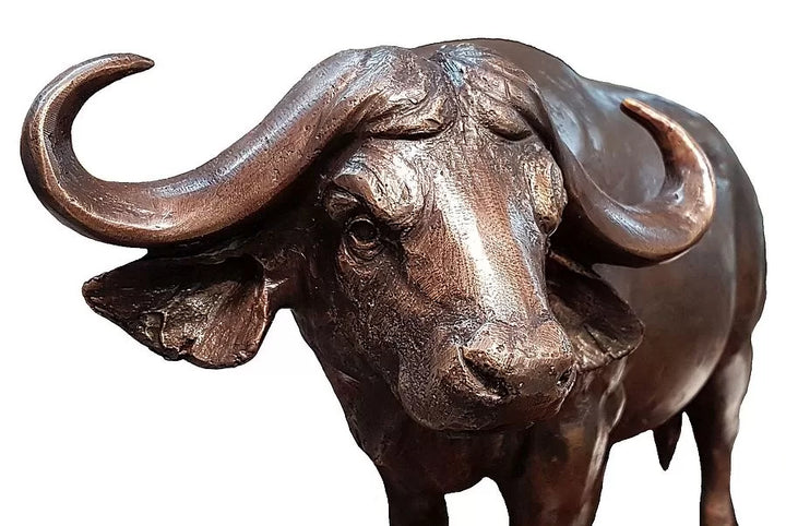 Cape Buffalo Bronze Sculpture