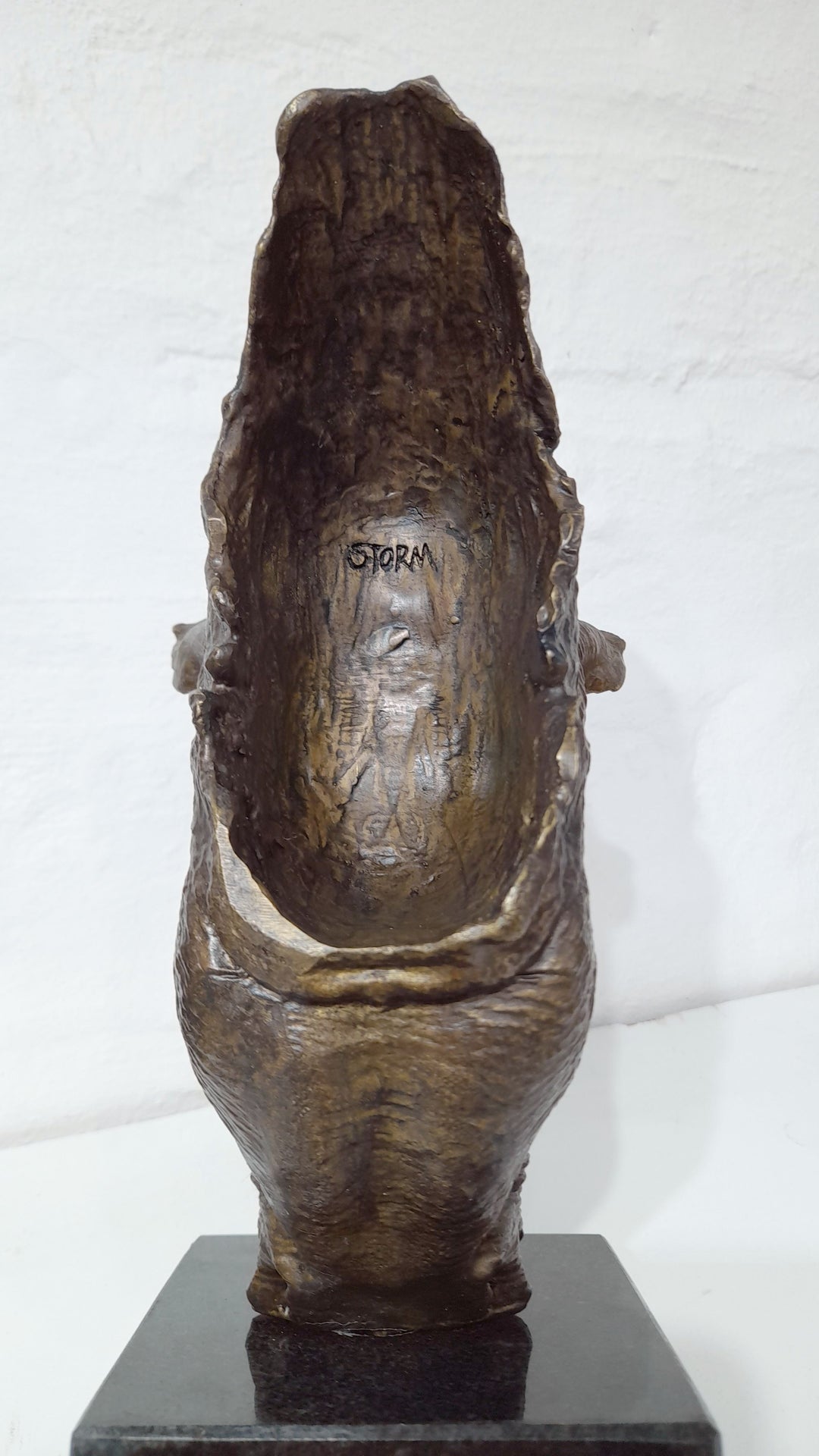 White Rhino Head on Marble Base Bronze Sculpture