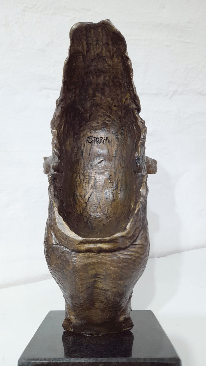 White Rhino Head on Marble Base Bronze Sculpture