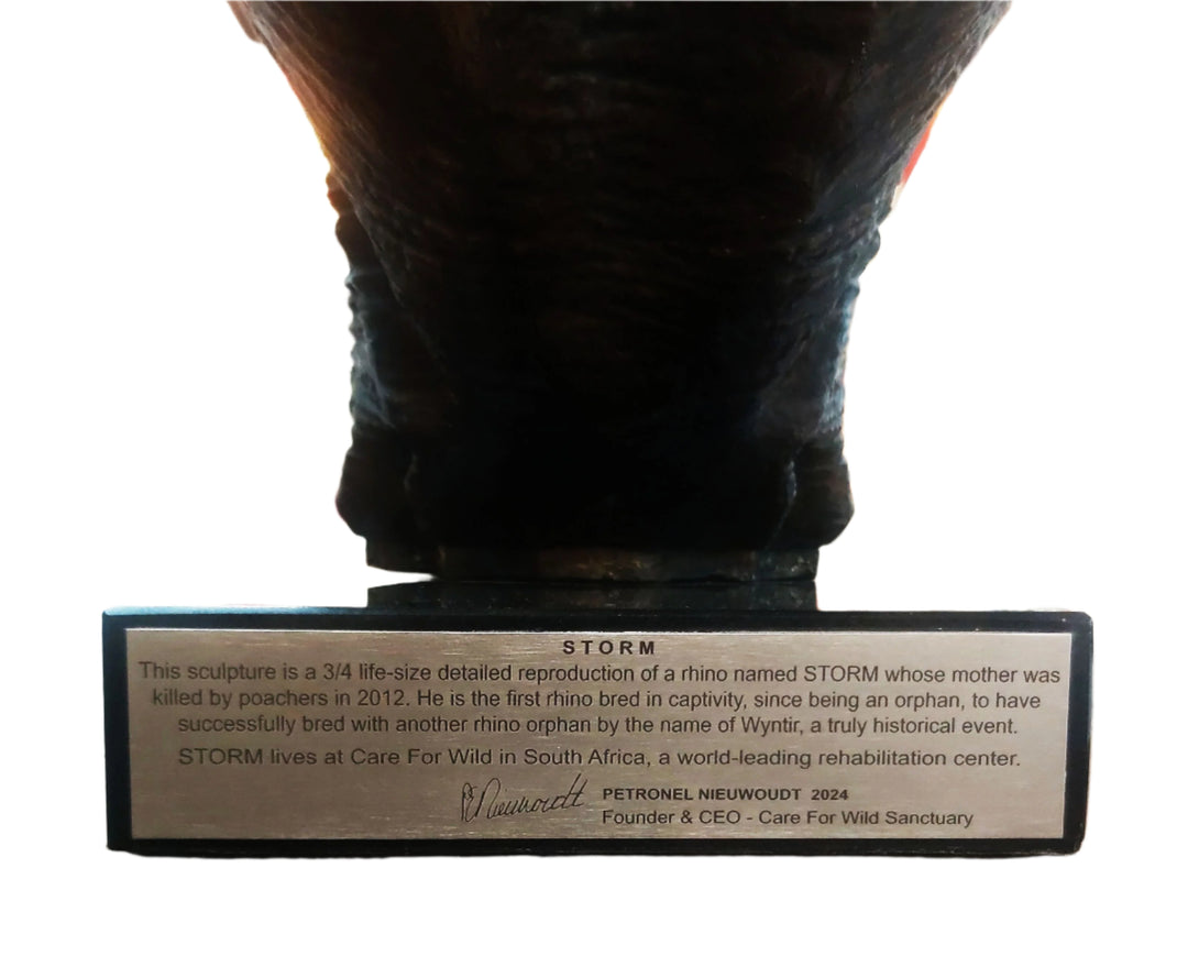 White Rhino Head on Marble Base Bronze Sculpture 3/4 Life-Size