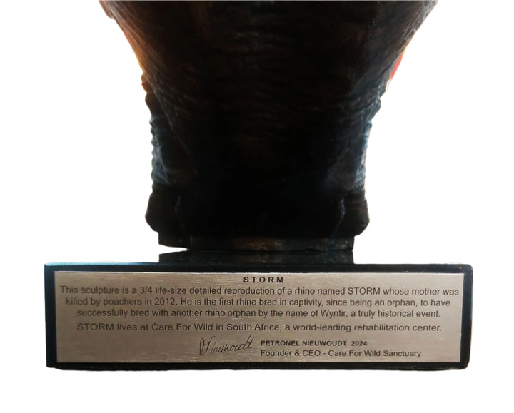 White Rhino Head on Marble Base Bronze Sculpture 3/4 Life-Size