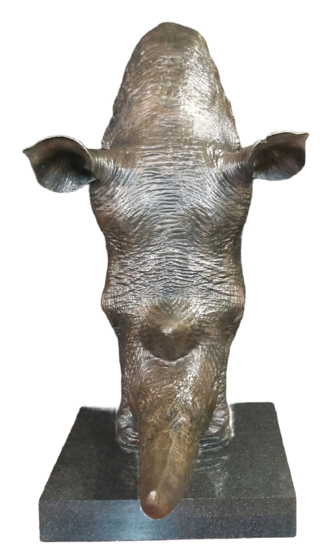 White Rhino Head on Marble Base Bronze Sculpture 3/4 Life-Size