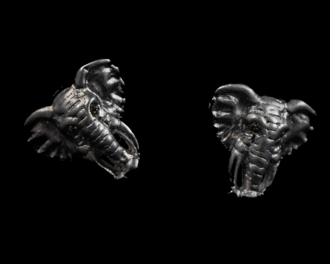 Earrings Silver - Africa Elephant Head and Diamond Eyes