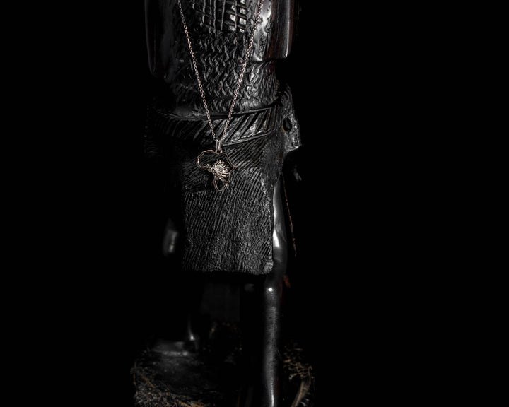 Map of Africa Protea Silver Pendant &amp; Chain 45cm