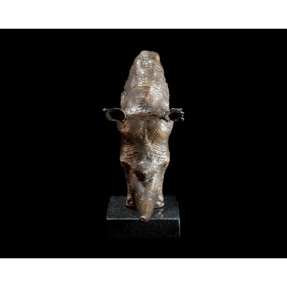 White Rhino Head on Marble Base Bronze Sculpture