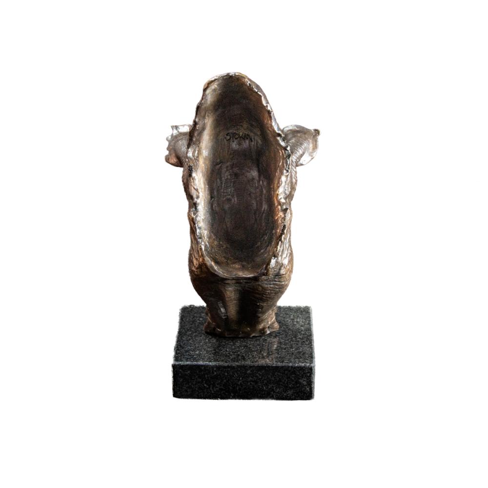 White Rhino Head on Marble Base Bronze Sculpture