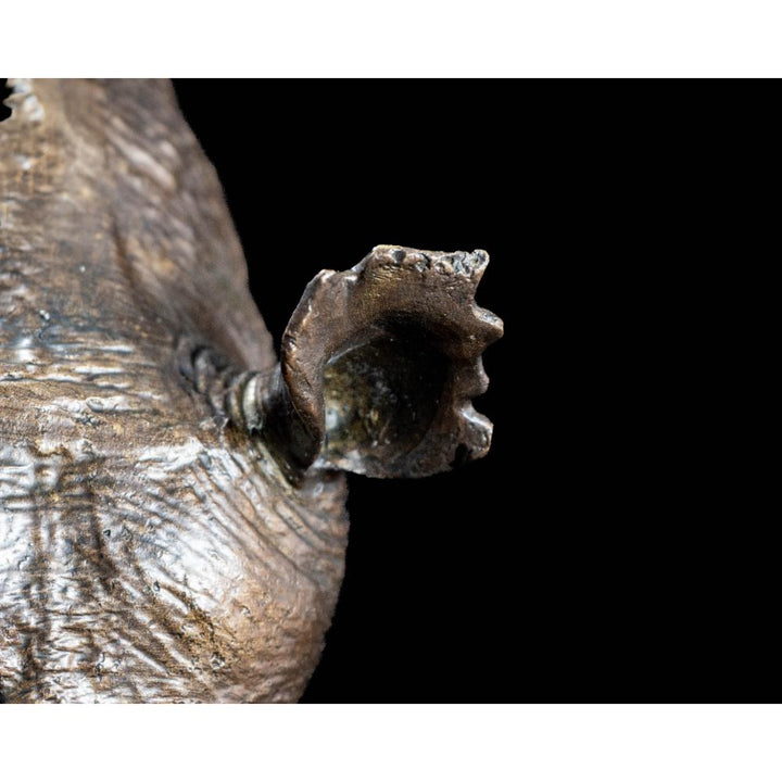 White Rhino Head on Marble Base Bronze Sculpture