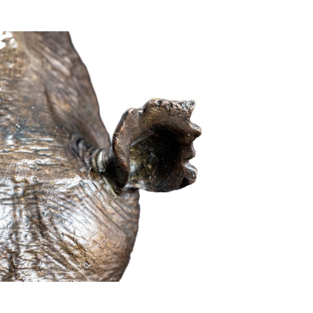 White Rhino Head on Marble Base Bronze Sculpture