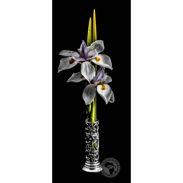 Regal Elephant Single Stem Vase - Earthangel