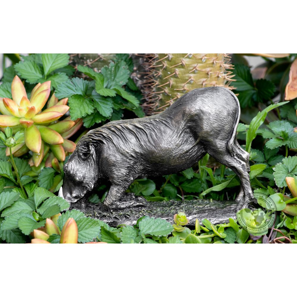 Warthog Kneeling Bronzed Sculpture