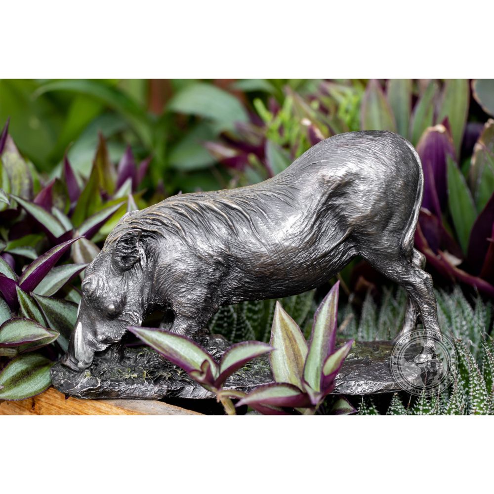 Warthog Kneeling Bronzed Sculpture